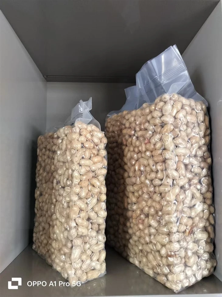 5kg Nuts Brick Shape Vacuuum Packing Machine price